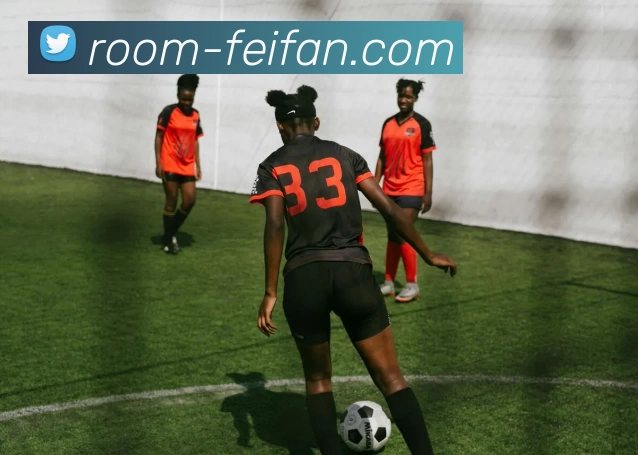 非凡娱乐平台生态图